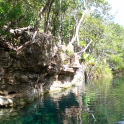 Cenote bei Tulum